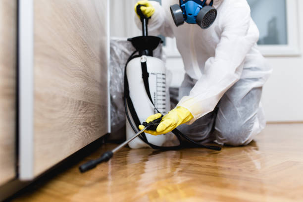 Best Termite Control Services  in Conyers, GA