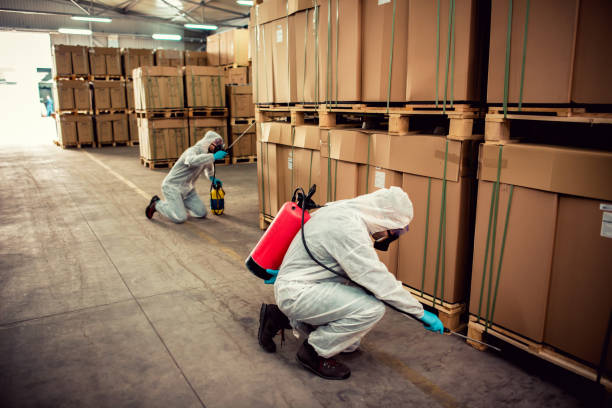 Best Bed Bug Extermination  in Conyers, GA