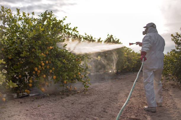 Best Commercial Pest Control Services  in Conyers, GA