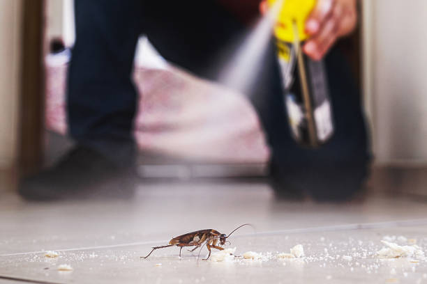 Best Residential Pest Control  in Conyers, GA