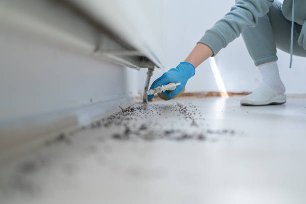 Professional Pest Control in Conyers, GA